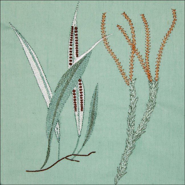 BFC2044 Equatorial Guinea Birds and Grasses