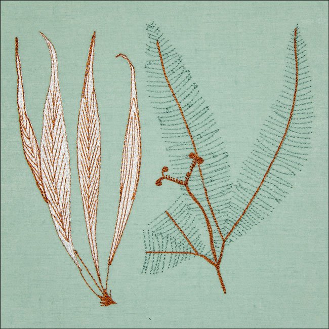 BFC2044 Equatorial Guinea Birds and Grasses