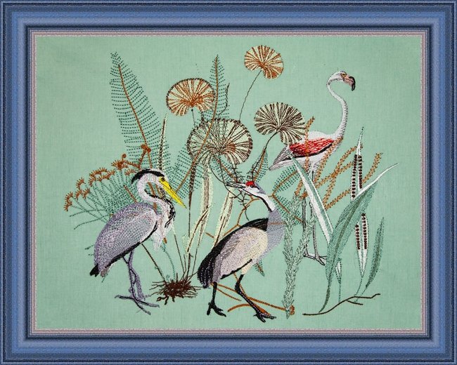 BFC2044 Equatorial Guinea Birds and Grasses