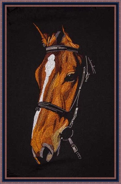 BFC2055 Large Portrait of a Horse on Black
