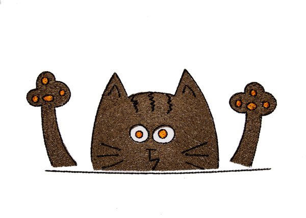 BFC2062 Those Cats......