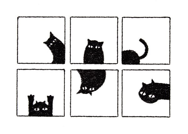 BFC2062 Those Cats......