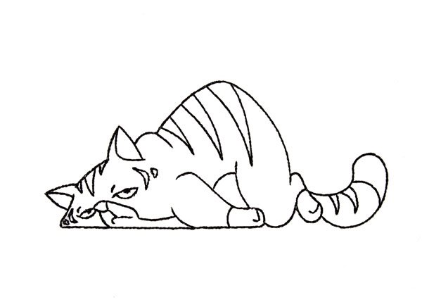 BFC2062 Those Cats......