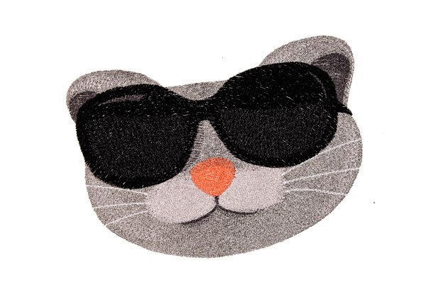 BFC2062 Those Cats......