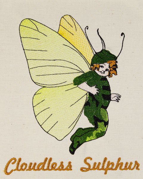 BFC2068 The Butterfly Babies Series - Part 1