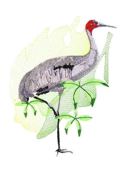 BFC2074 Birds of Australia