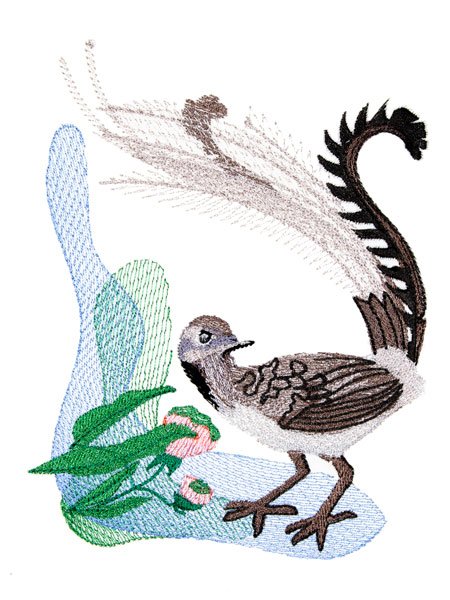 BFC2074 Birds of Australia