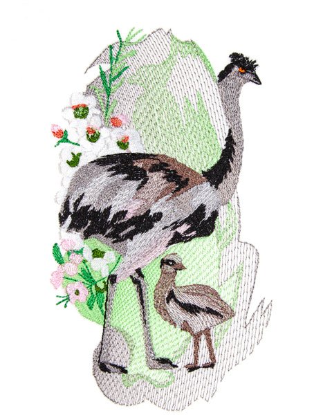 BFC2074 Birds of Australia