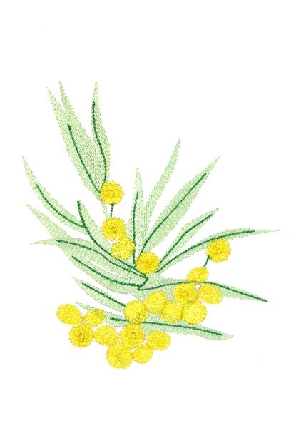BFC2077 Flowers of Australia