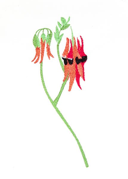 BFC2077 Flowers of Australia
