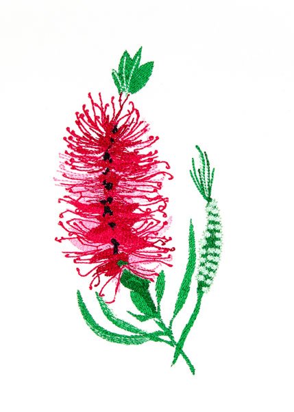 BFC2077 Flowers of Australia