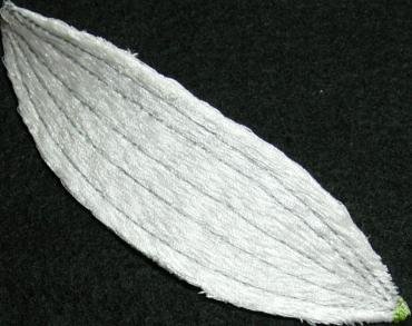 BFC0208 Lace Sculpture - Cattleya Orchid
