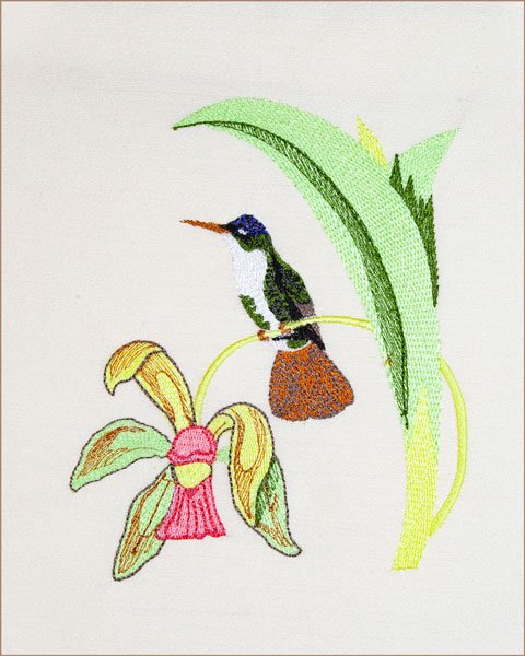 BFC2089 Vintage Hummingbirds with Flowers