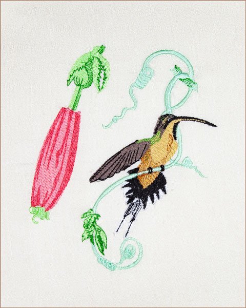 BFC2089 Vintage Hummingbirds with Flowers