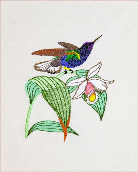 BFC2089 Vintage Hummingbirds with Flowers