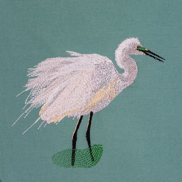 BFC2094 Snowy Egret