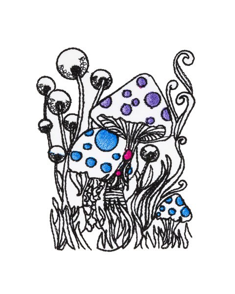 BFC2098 Delight's Cheshire with Mushrooms