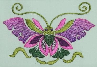 BFC0210 Chinese Butterflies