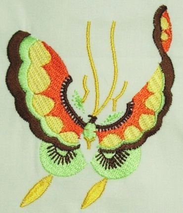 BFC0210 Chinese Butterflies