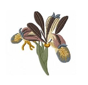 RMG2103 Iris
