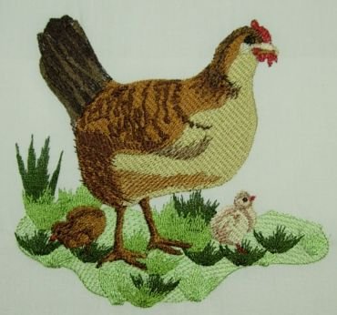 Hen 2