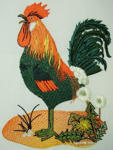 Rooster 3