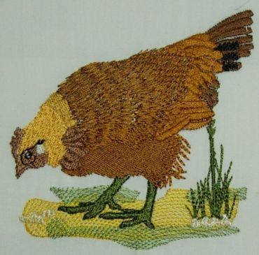 Hen 3