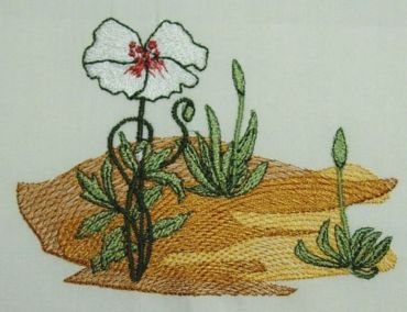 Rooster's Flower