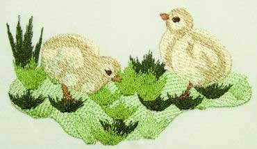 Pair of Chicks