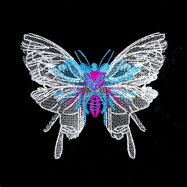 BFC2127 Awesome Butterflies