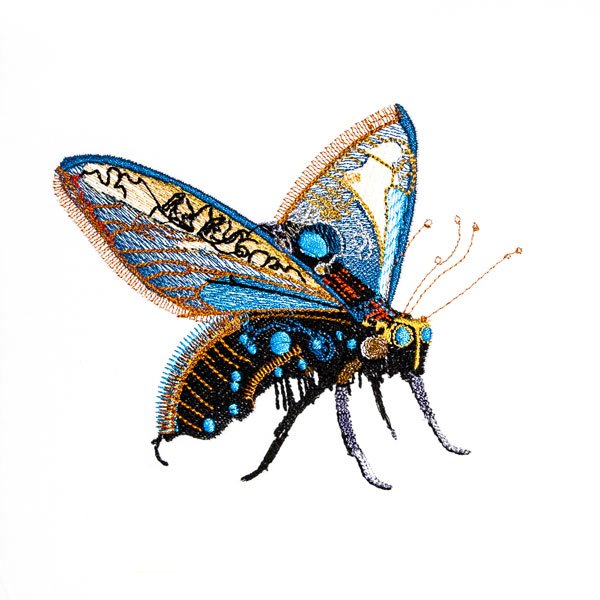 BFC2127 Awesome Butterflies