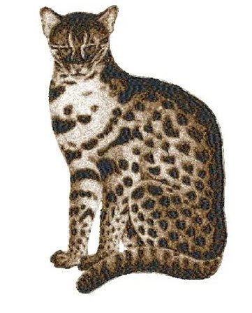 RMG2128 Fishing Cat