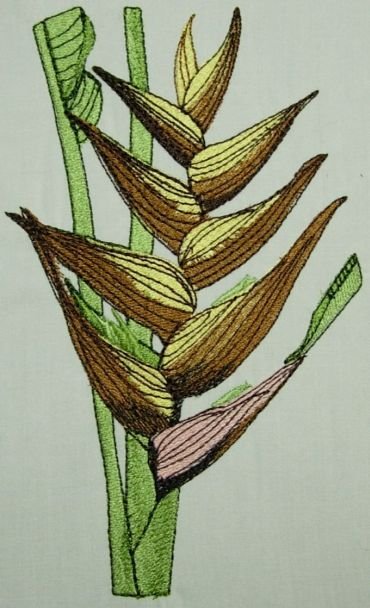 BFC0216 Flora Exotica