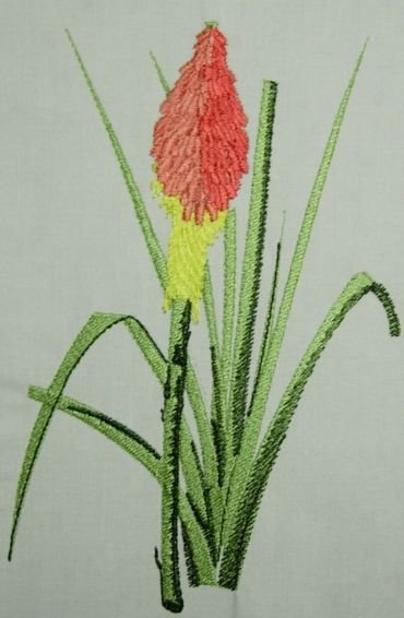 BFC0216 Flora Exotica