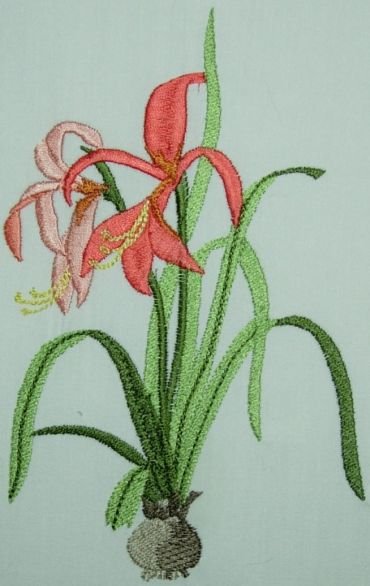 BFC0216 Flora Exotica