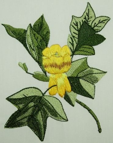BFC0216 Flora Exotica