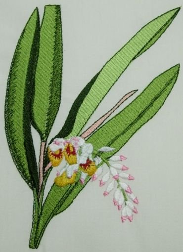BFC0216 Flora Exotica