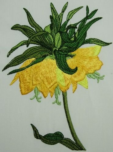 BFC0216 Flora Exotica