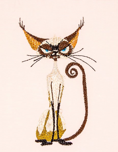 BFC2180 Cats with LOTS of Attitude 1