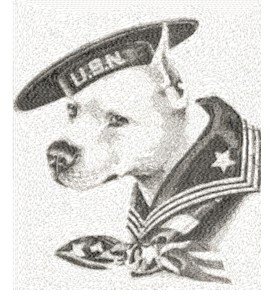 RMG2194 U. S. Navy Proud