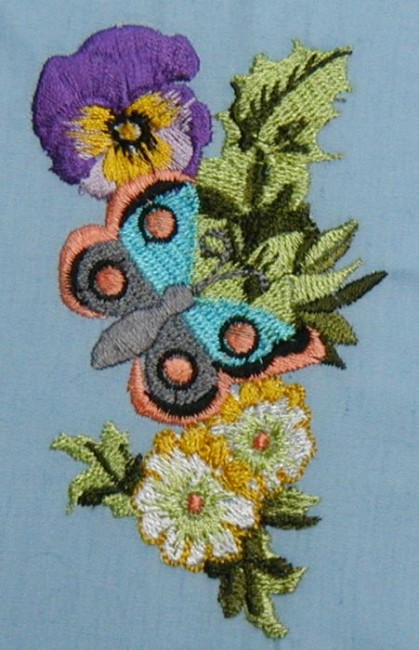 BFC0166C Victorian Butterfly Frame