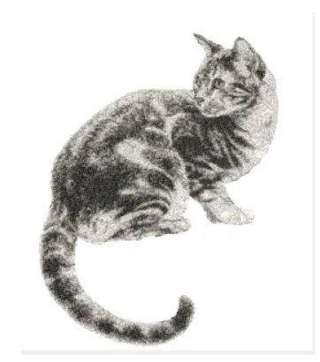 RMG2259 Cat