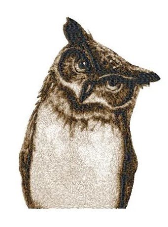 RMG2270 Owl