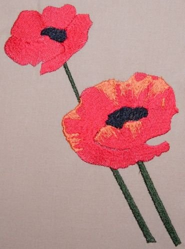 BFC0237 Poppies