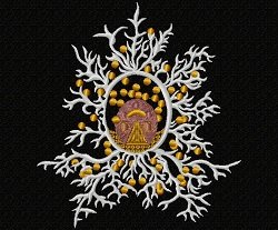 RMG237 Radiolarians Set 1