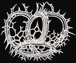 RMG237 Radiolarians Set 1