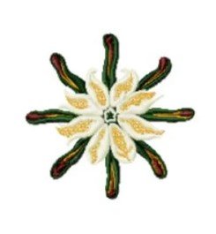 RMG240 Liverwort