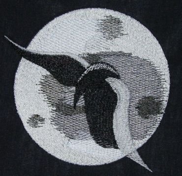 BFC30340 By the Moon