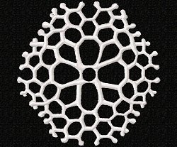 RMG237 Radiolarians Set 1