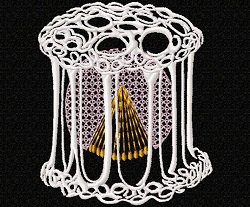 RMG237 Radiolarians Set 1